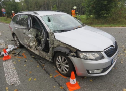 Smrtelná nehoda motorkáře u Nového Rokytníku