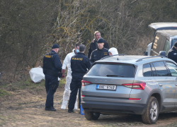 Požár chatku zničil. Uvnitř hasiči nalezli dvě osoby