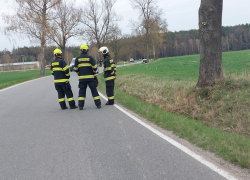 U tragické nehody u Želče zemřela nezletilá osoba