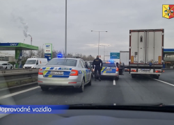 Zloději neměli proti profíkům z PMJ a 8.OOK žádnou šanci