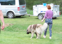 Policie nemá téměř žádnou stopu, vyslýchá svědky z výstavy