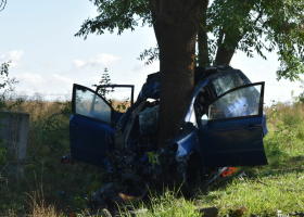 Řidič náraz do stromu nepřežil. Auto ještě začalo hořet.