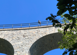 Těžké vyjednávání s mužem na viaduktu