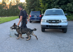 Policejní psovodi, sehráli v tomto případu velkou roli.