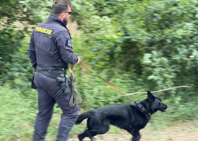 Ujížděli na kradené motorce policistům, řidič i spolujezdec utekli